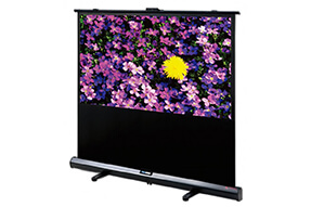 Écran de projection mobile DELUXX Expert Portable Self-Stand-X 16:9 Blanc Mat Polaro 186 x 105
