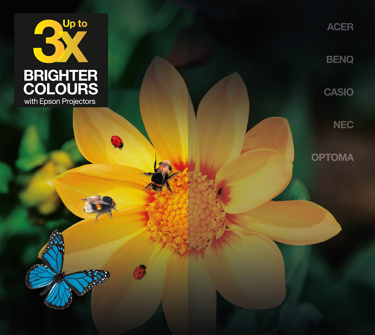 Epson Color Brightness - Comparaison des projecteurs Epson avec d'autres fabricants