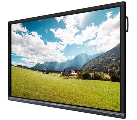ViewSonic IFP8650
