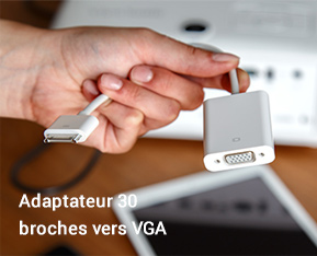 Adaptateur 30 broches vers VGA
