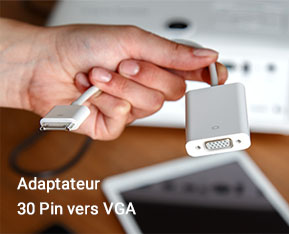 Adaptateur 30 Pin vers VGA