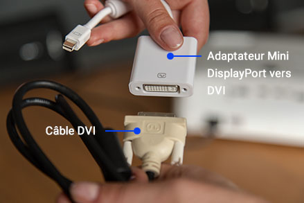Adaptateur Mini DisplayPort vers DVI Adaptateur Mini DisplayPort vers DVI